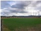 Turners Flat NSW 2440