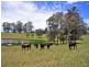 Kempsey NSW 2440