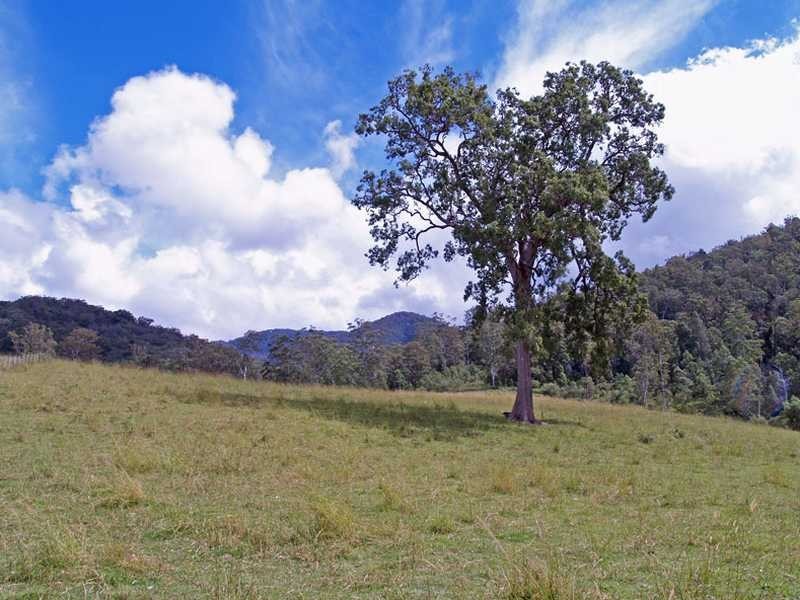 Kempsey NSW 2440
