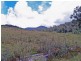 Kempsey NSW 2440