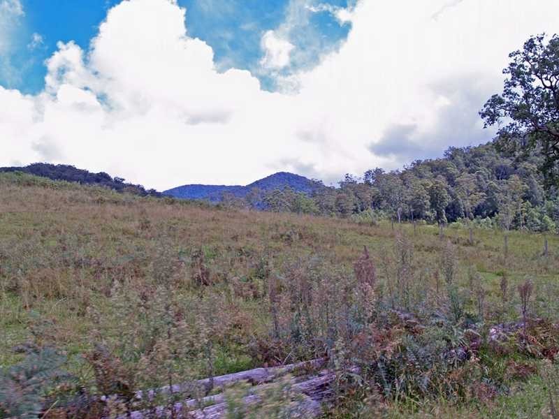 Kempsey NSW 2440