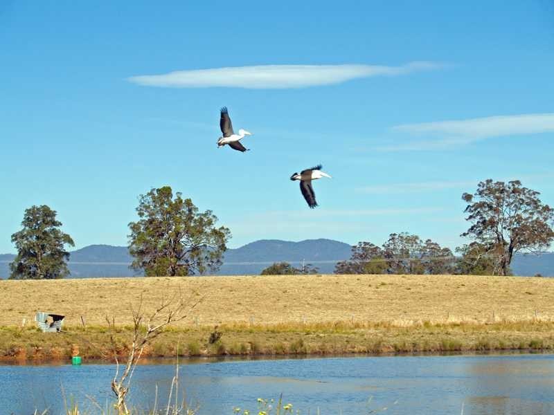 Kempsey NSW 2440