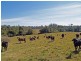 Kempsey NSW 2440