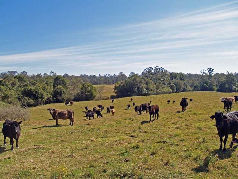 Kempsey NSW 2440