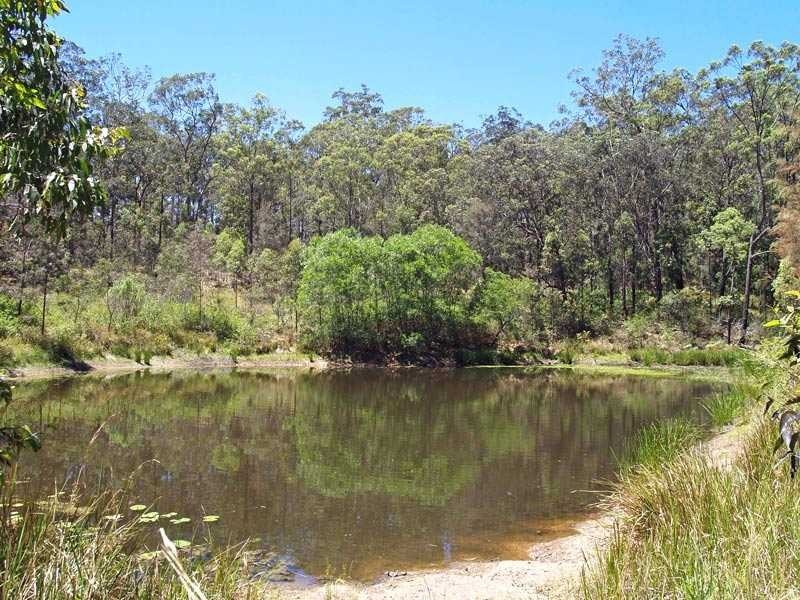 137 Toms Gully Road HICKEYS CREEK VIA, Kempsey NSW 2440