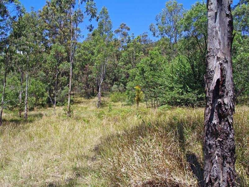 137 Toms Gully Road HICKEYS CREEK VIA, Kempsey NSW 2440