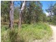 137 Tom’s Gully Road, Hickeys Creek NSW 2440