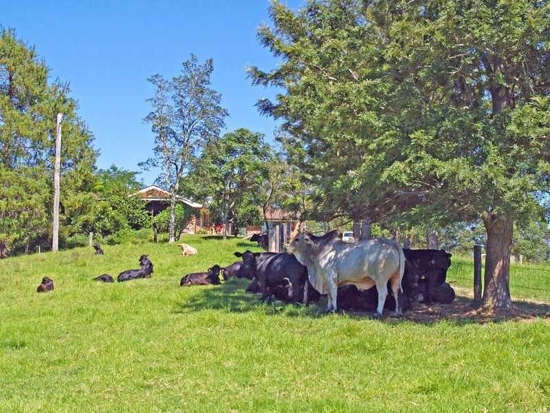 Kempsey NSW 2440