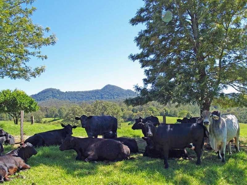 Kempsey NSW 2440