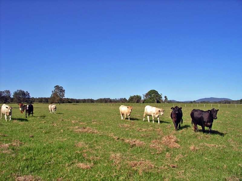 Lot 64 Menarcobrinni Road, Kempsey NSW 2440
