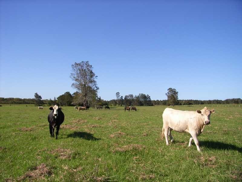 Lot 64 Menarcobrinni Road, Kempsey NSW 2440