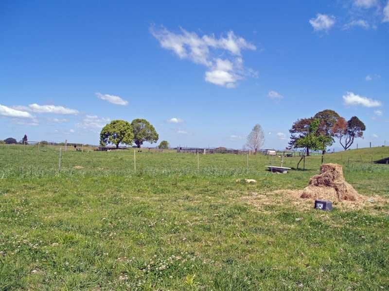 Frederickton NSW 2440