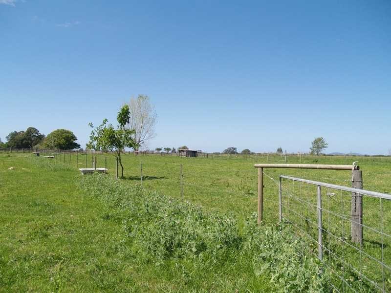 Frederickton NSW 2440