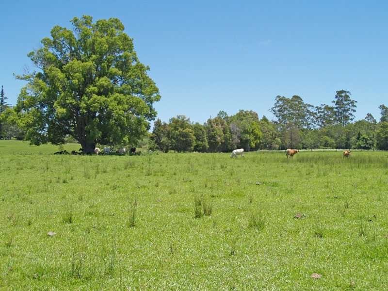 Kempsey NSW 2440