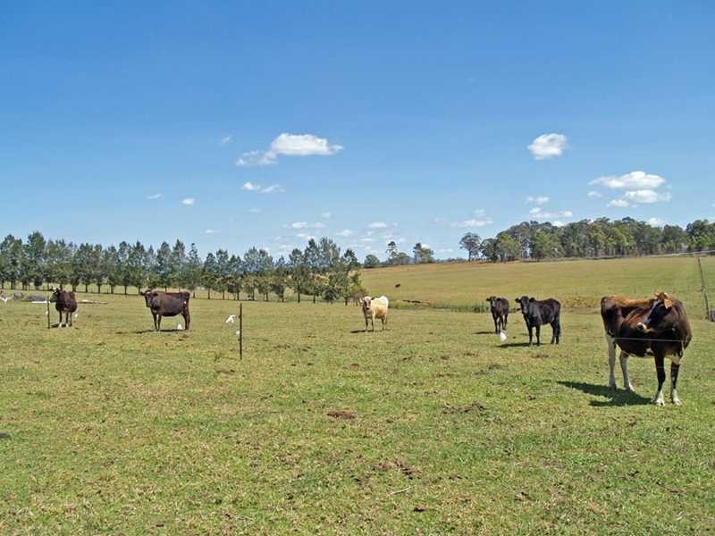 9C Campbell Place ALDAVILLA VIA, Kempsey NSW 2440