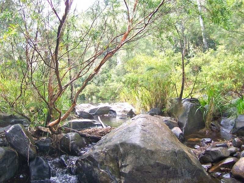 219 Eight Mile Creek Road WITTITRIN VIA, Kempsey NSW 2440