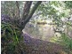 219 Eight Mile Creek Road WITTITRIN VIA, Kempsey NSW 2440
