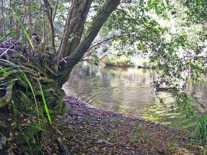219 Eight Mile Creek Road WITTITRIN VIA, Kempsey NSW 2440