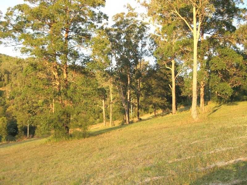 219 Eight Mile Creek Road WITTITRIN VIA, Kempsey NSW 2440