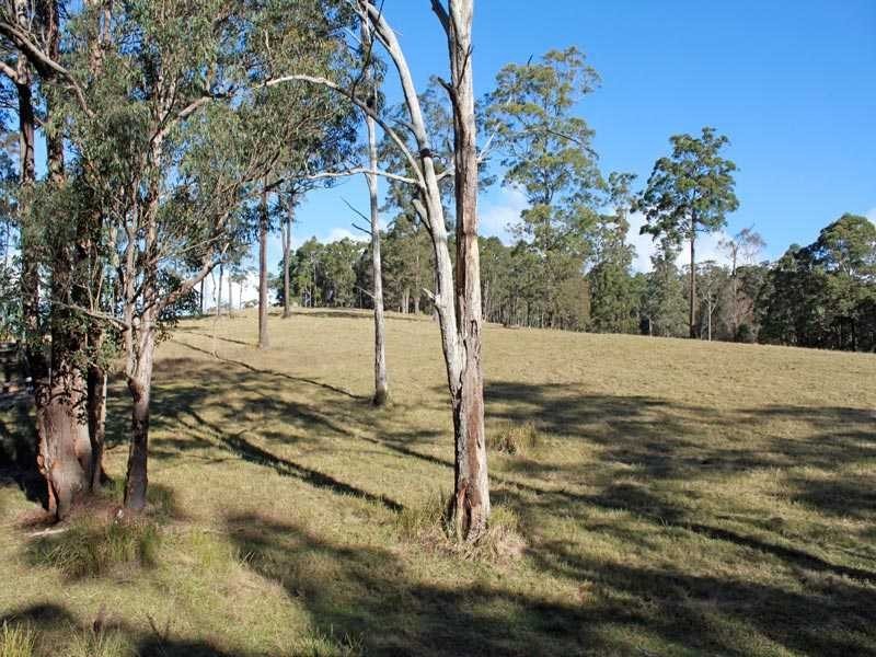 Lot 4 Mines Road, Mungay Creek NSW 2440