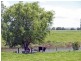 Frederickton NSW 2440