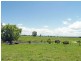 Frederickton NSW 2440