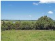 Frederickton NSW 2440