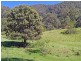 Lot 5 Armidale Road BELLBROOK VIA, Kempsey NSW 2440