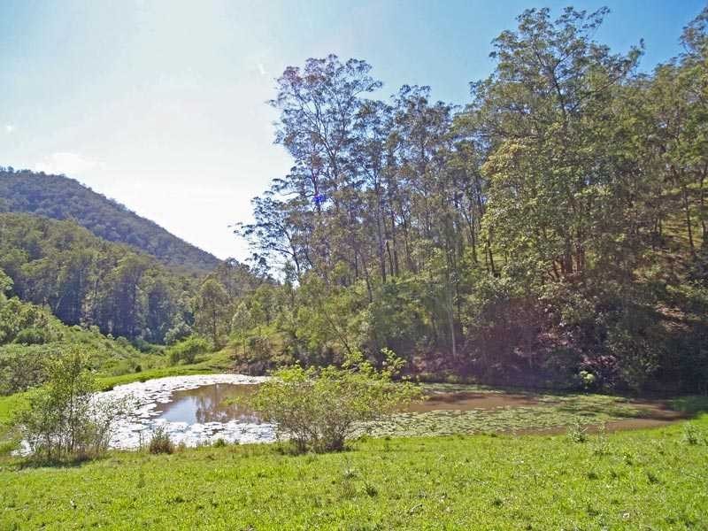 Lot 5 Armidale Road BELLBROOK VIA, Kempsey NSW 2440