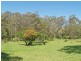 377 Gowings Hill Road DONDINGALONG VIA, Kempsey NSW 2440