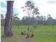 701 Willi Willi Road TURNERS FLAT VIA, Kempsey NSW 2440