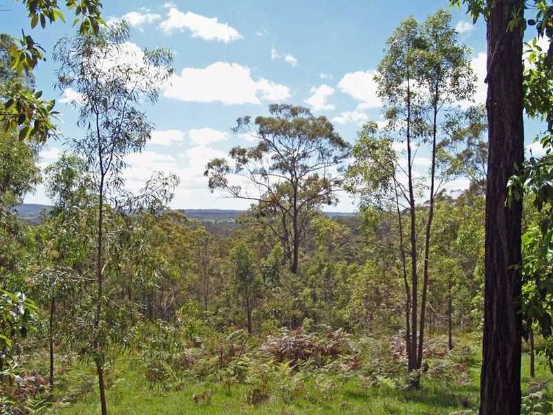 701 Willi Willi Road TURNERS FLAT VIA, Kempsey NSW 2440