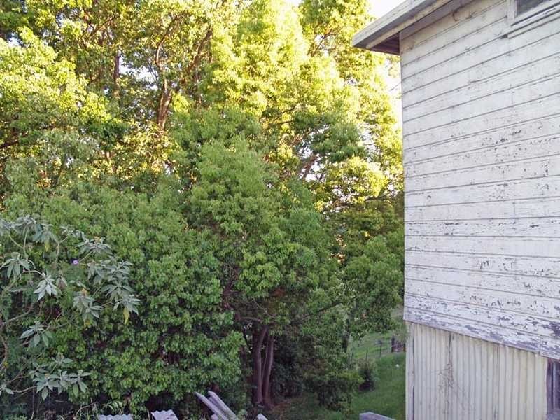 33 Macleay Street, East Kempsey NSW 2440