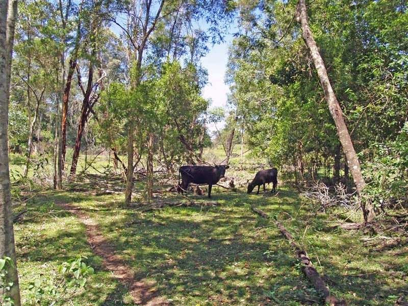 1512 Collombatti Road COLLOMBATTI VIA, Kempsey NSW 2440