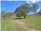 Mckenzies Creek Road, Willi Willi NSW 2440