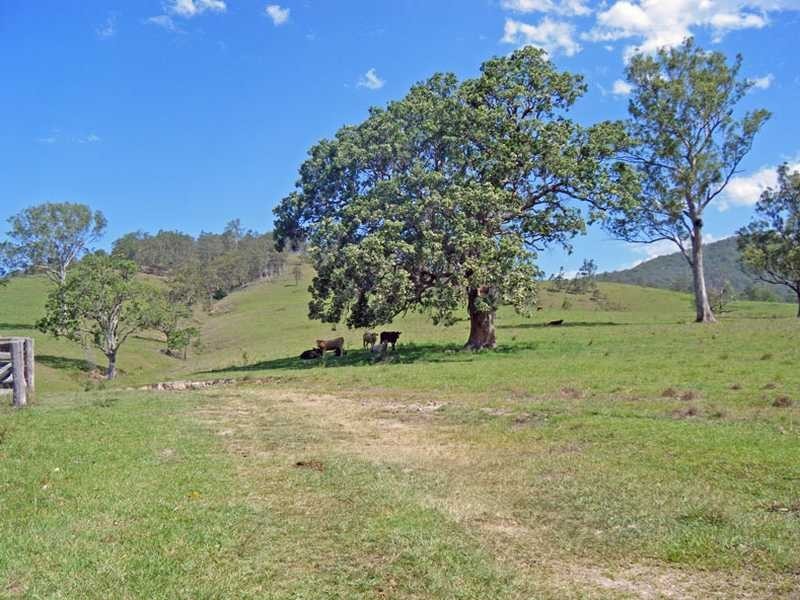 Mckenzies Creek Road, Willi Willi NSW 2440