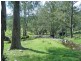 Mckenzies Creek Road, Willi Willi NSW 2440