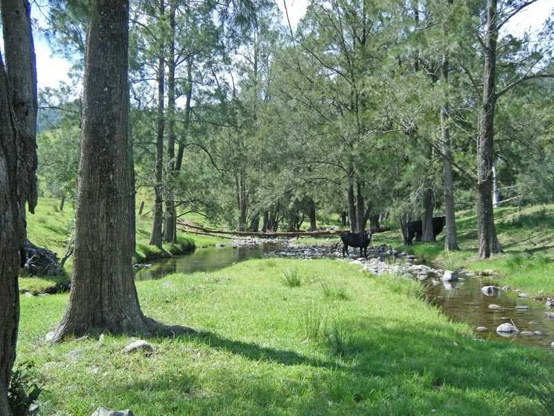 Mckenzies Creek Road, Willi Willi NSW 2440