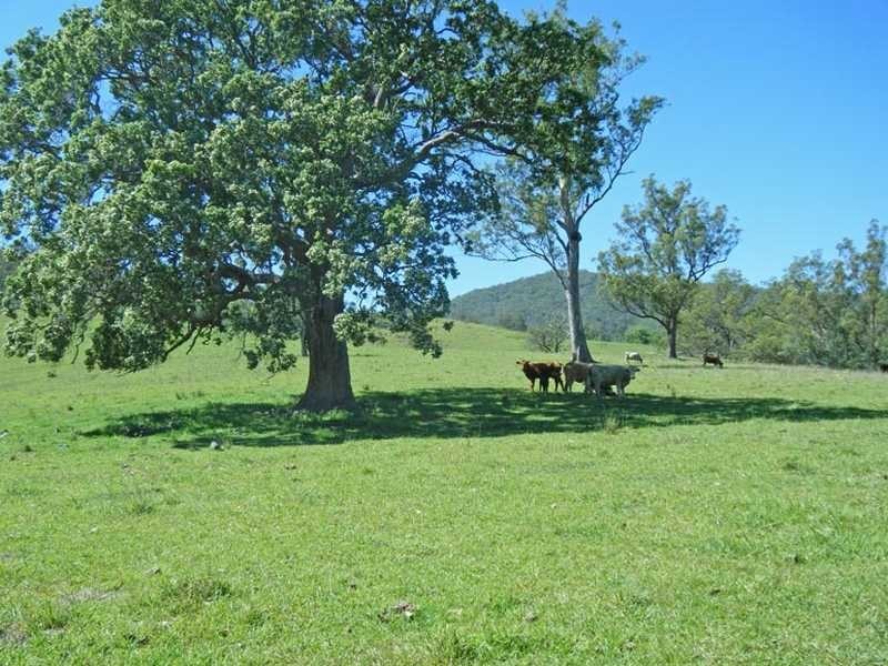 Mckenzies Creek Road, Willi Willi NSW 2440