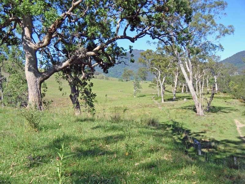 Mckenzies Creek Road, Willi Willi NSW 2440