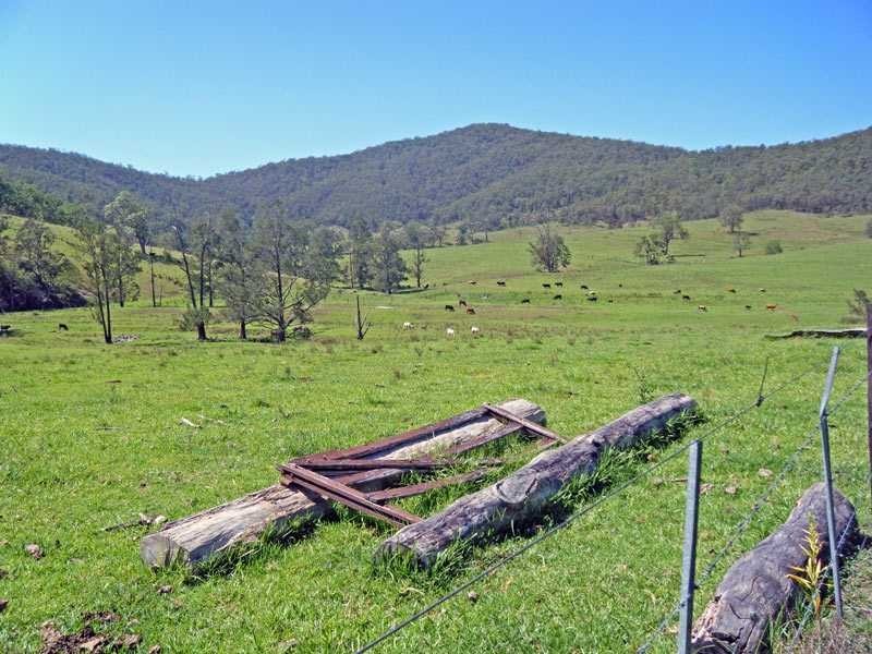 Mckenzies Creek Road, Willi Willi NSW 2440