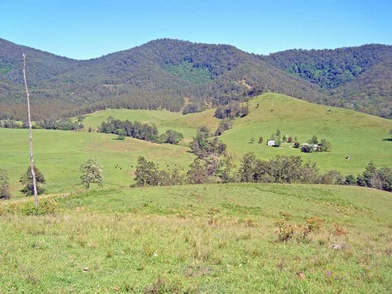 Mckenzies Creek Road, Willi Willi NSW 2440