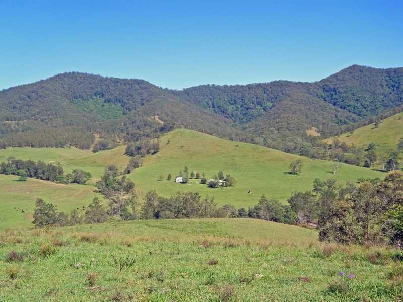 Mckenzies Creek Road, Willi Willi NSW 2440