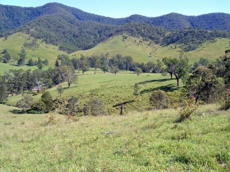 Mckenzies Creek Road, Willi Willi NSW 2440