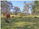 923B Willi Willi Road TURNERS FLAT VIA, Kempsey NSW 2440