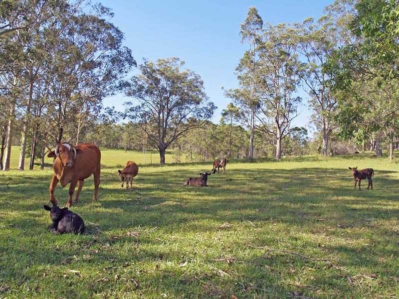 923B Willi Willi Road TURNERS FLAT VIA, Kempsey NSW 2440