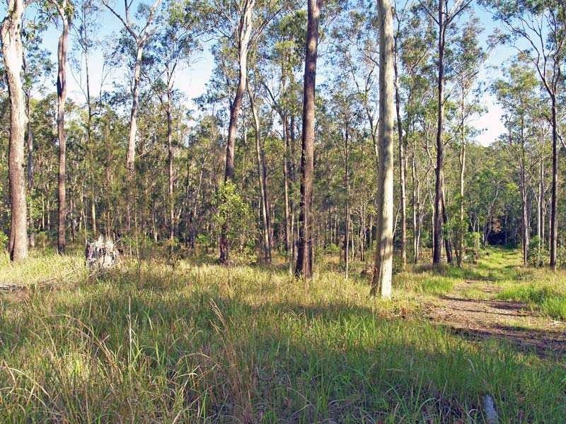 923B Willi Willi Road TURNERS FLAT VIA, Kempsey NSW 2440
