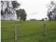 153 Right Bank Road BELMORE RIVER VIA, Kempsey NSW 2440