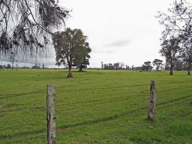 153 Right Bank Road BELMORE RIVER VIA, Kempsey NSW 2440