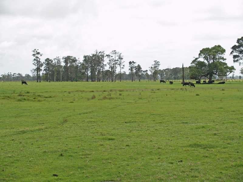 153 Right Bank Road, Belmore River NSW 2440